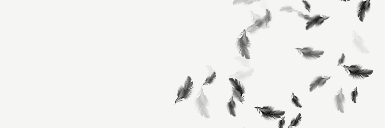 _ddemetria's profile banner image
