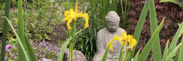 EvaWard49 Profile Banner