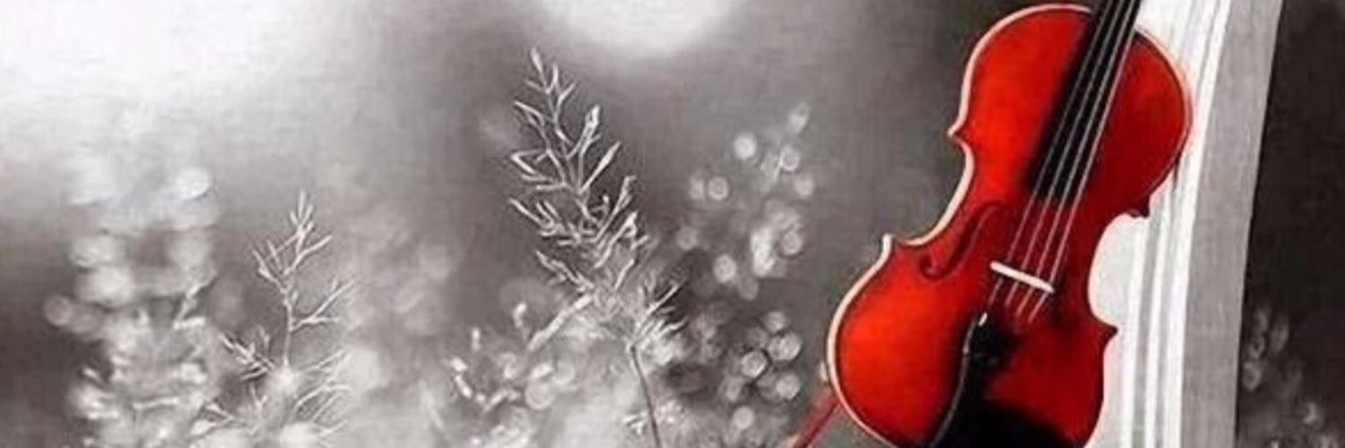 elemnar's profile banner image