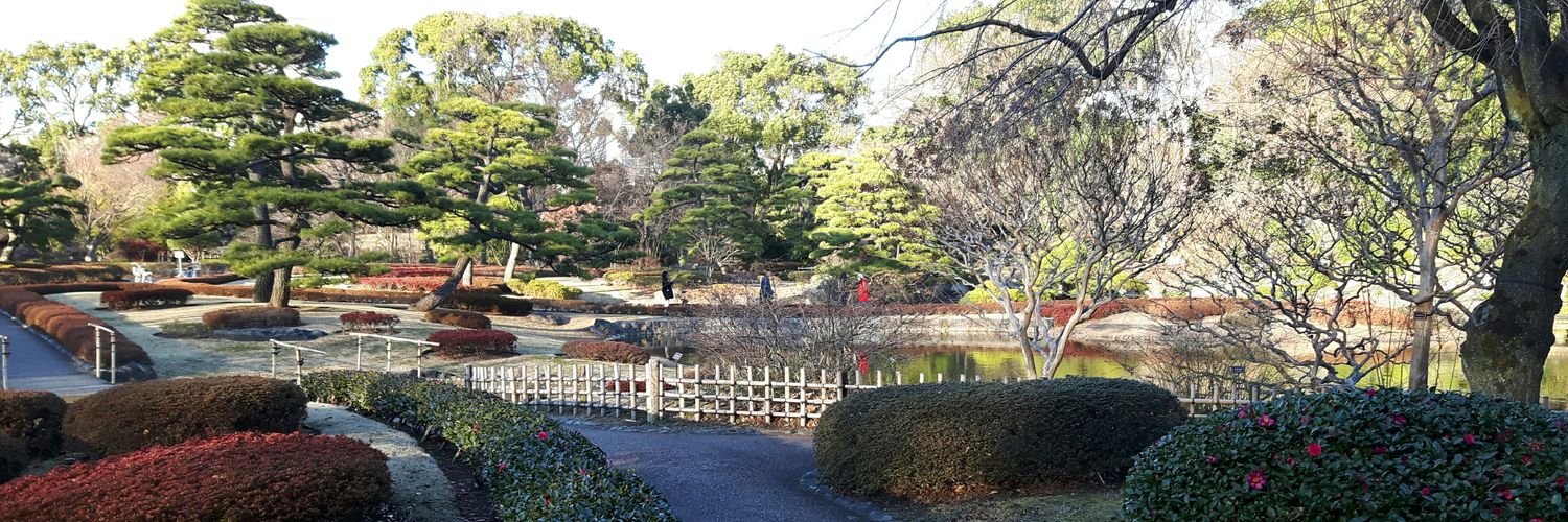 rena2410's profile banner image