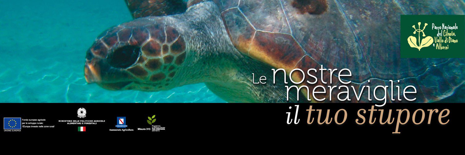 Parco Cilento banner