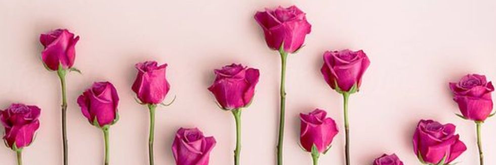 ozlemtopcuu's profile banner image