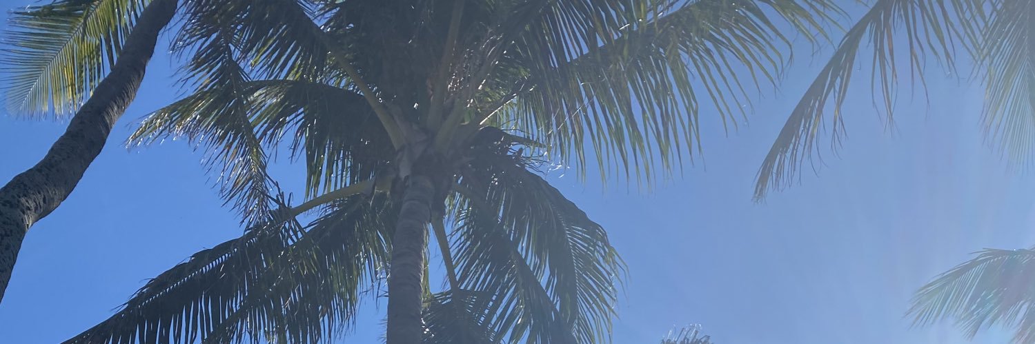 amirbrown1's profile banner image