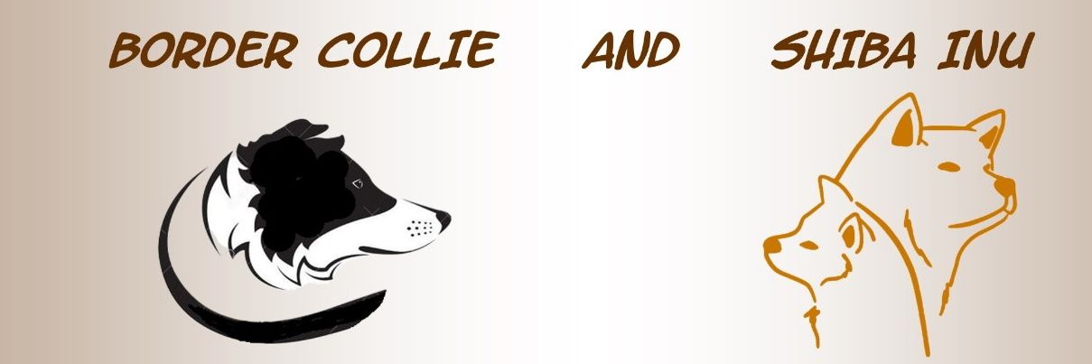 allevamentodel1's profile banner image