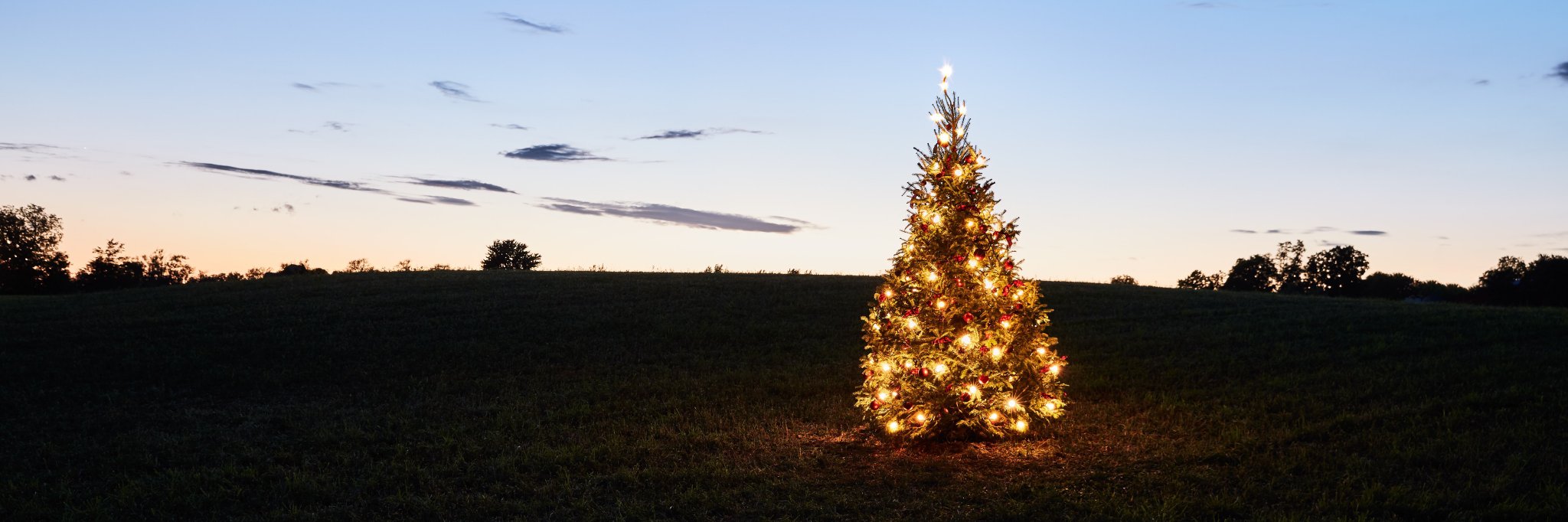 Denmar_Farms's profile banner image