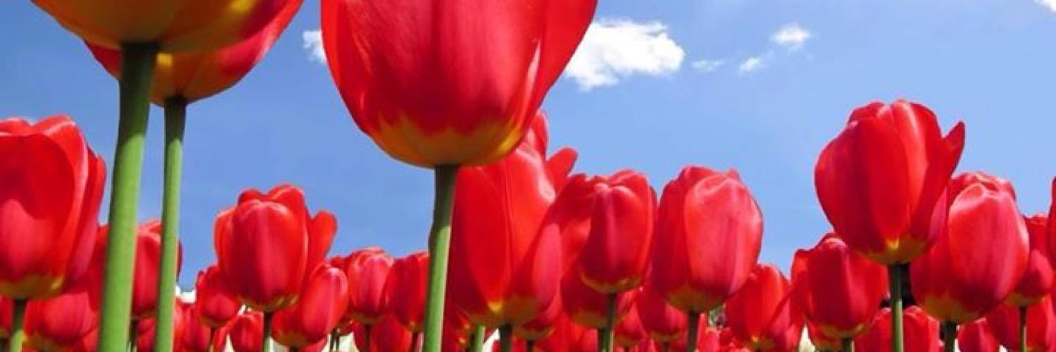 reid803's profile banner image