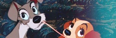 deniseiz's profile banner image