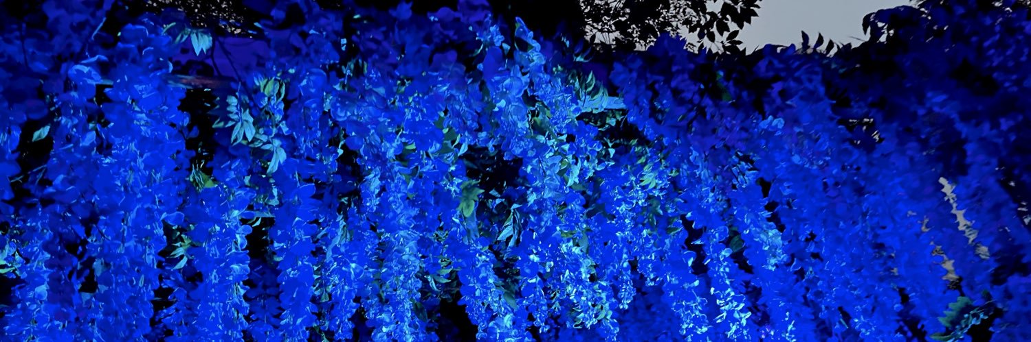 040610Mmm's profile banner image