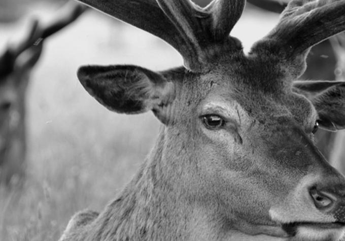 mpubric's profile banner image