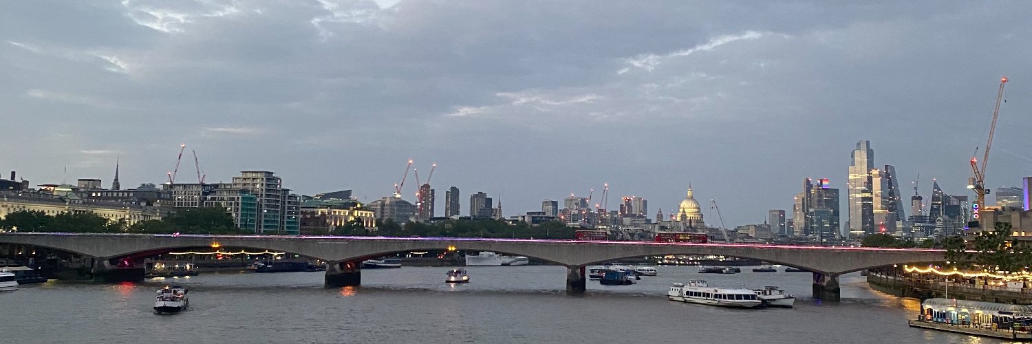 Lena Liedl 🇺🇦 banner