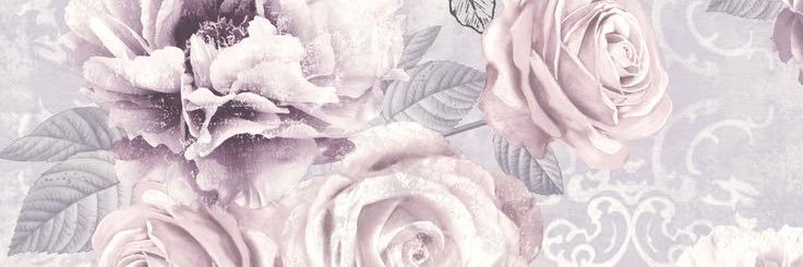 Dolankissess's profile banner image