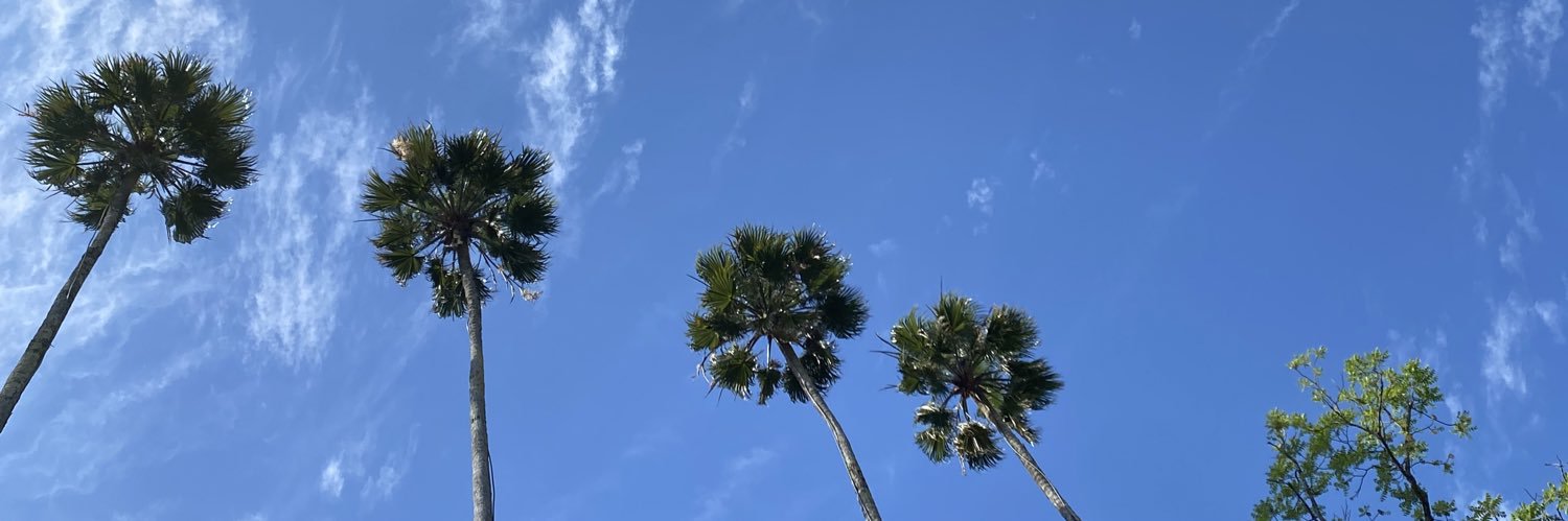 clarisselvr's profile banner image