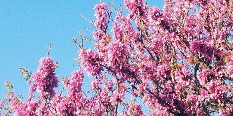 laura_tp's profile banner image
