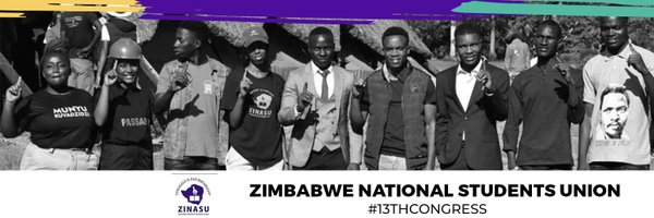 Zinasuzim Profile Banner