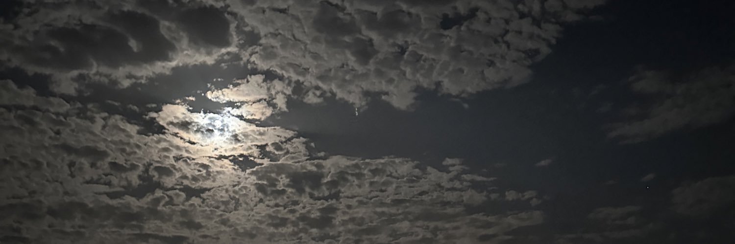 aalpertonga's profile banner image