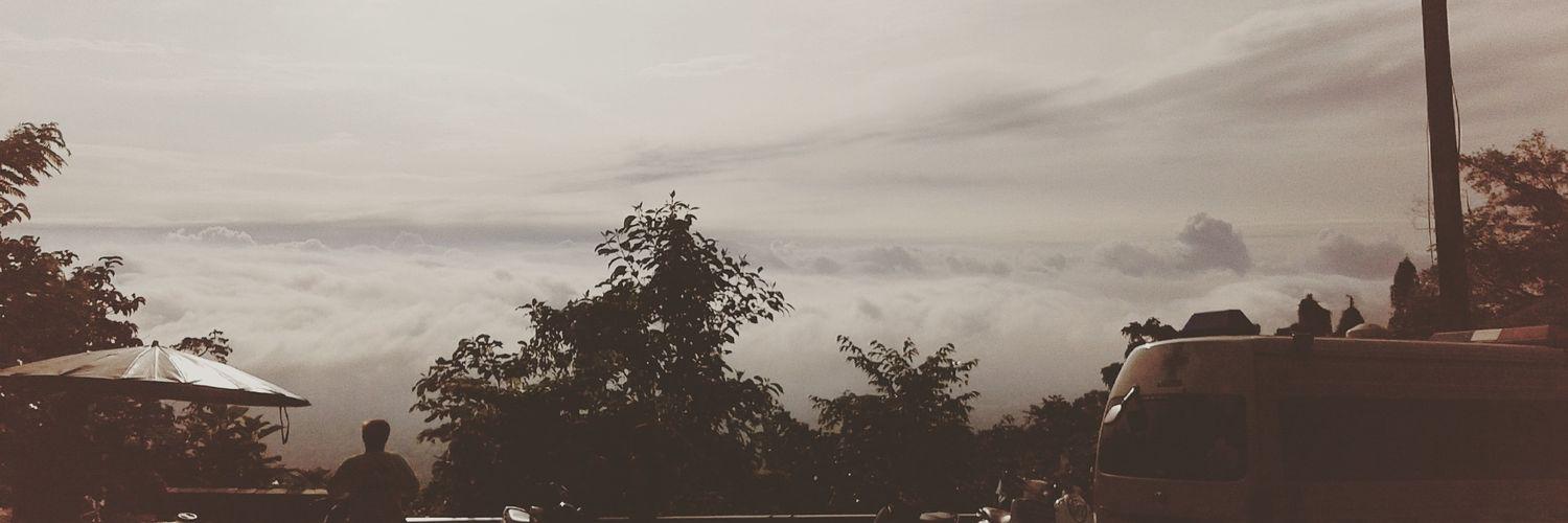 พี ที ดับบิว banner