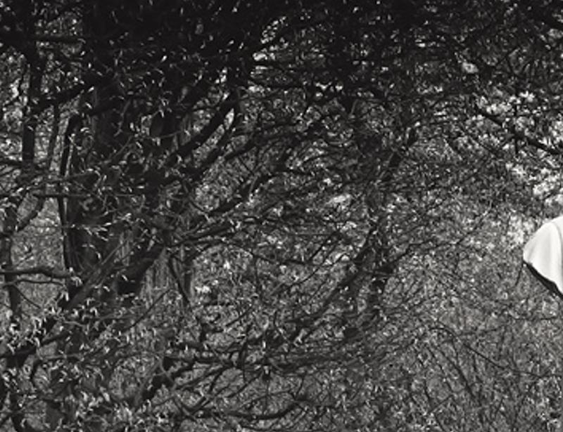 innichoucki's profile banner image