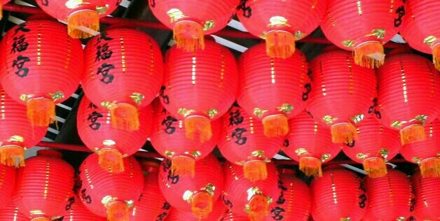 Stephanie Sivell banner