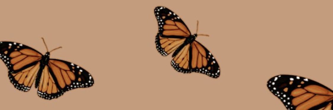 ___arriii's profile banner image