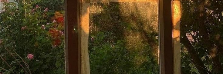 dumpeddumpd's profile banner image