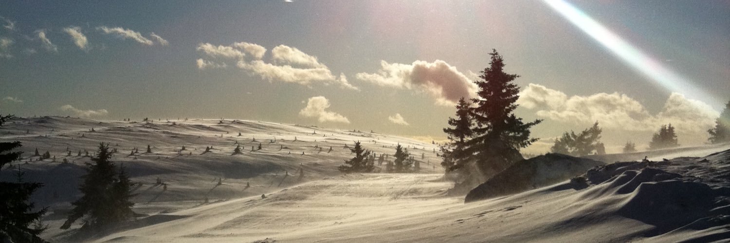 torstals's profile banner image