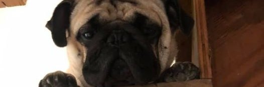 imjudg3's profile banner image