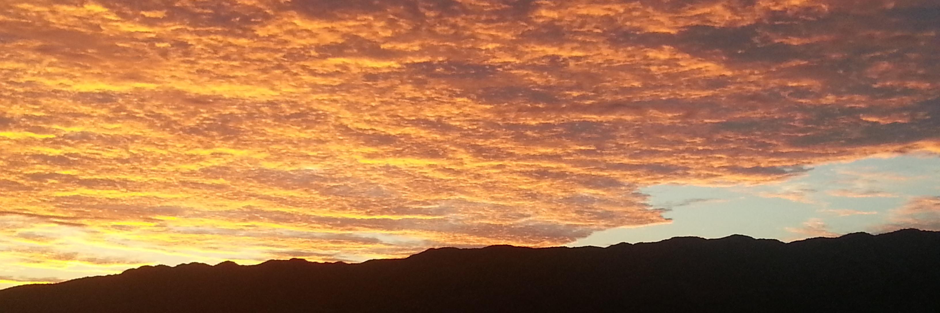 Rebooted (Bloke/Geezer) banner