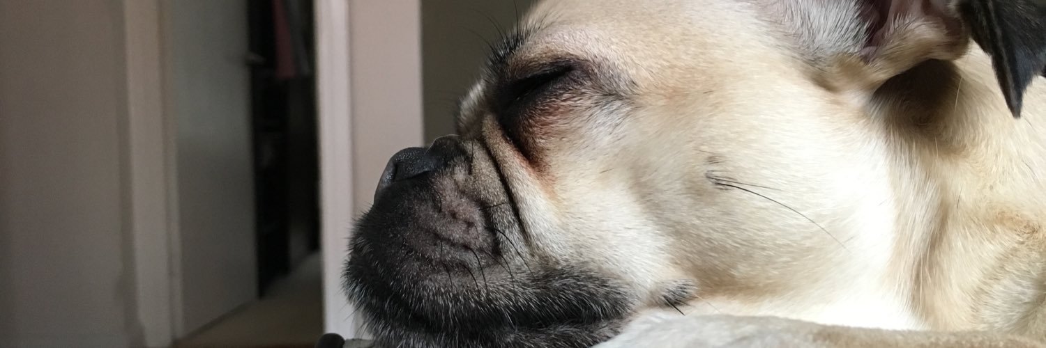 jezatkinson's profile banner image