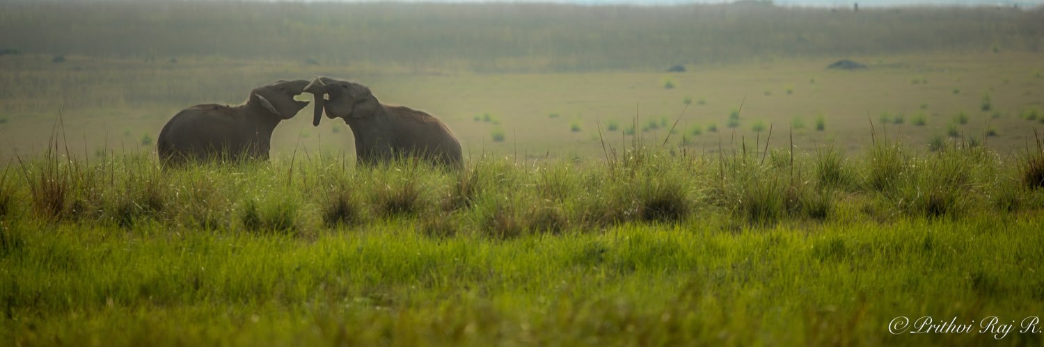 Prithvi_98's profile banner image