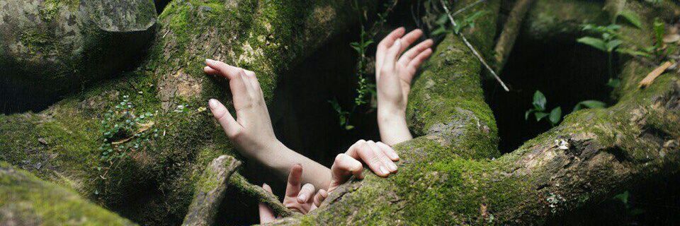 irinag1999's profile banner image
