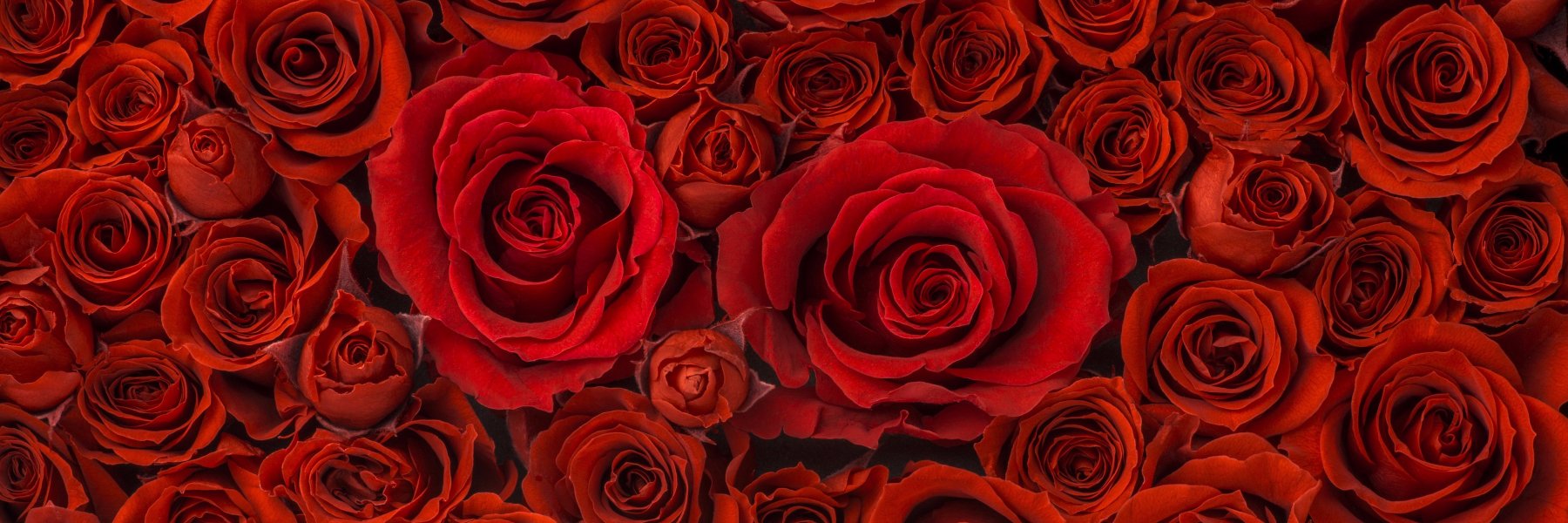 BrettUKRPG's profile banner image