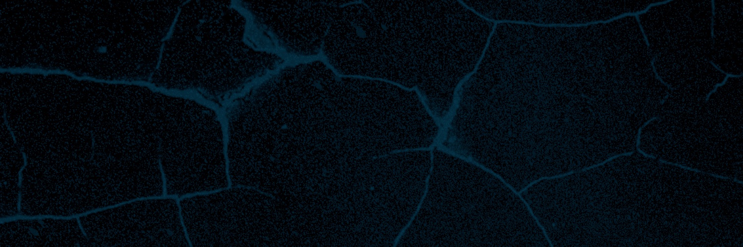 RealRap90s's profile banner image