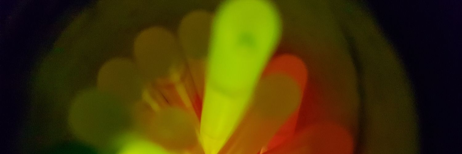ChrisEMatthews's profile banner image