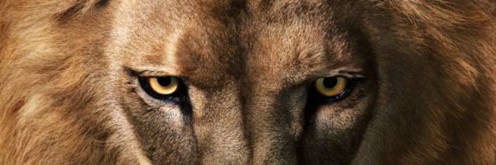 Lulap20's profile banner image