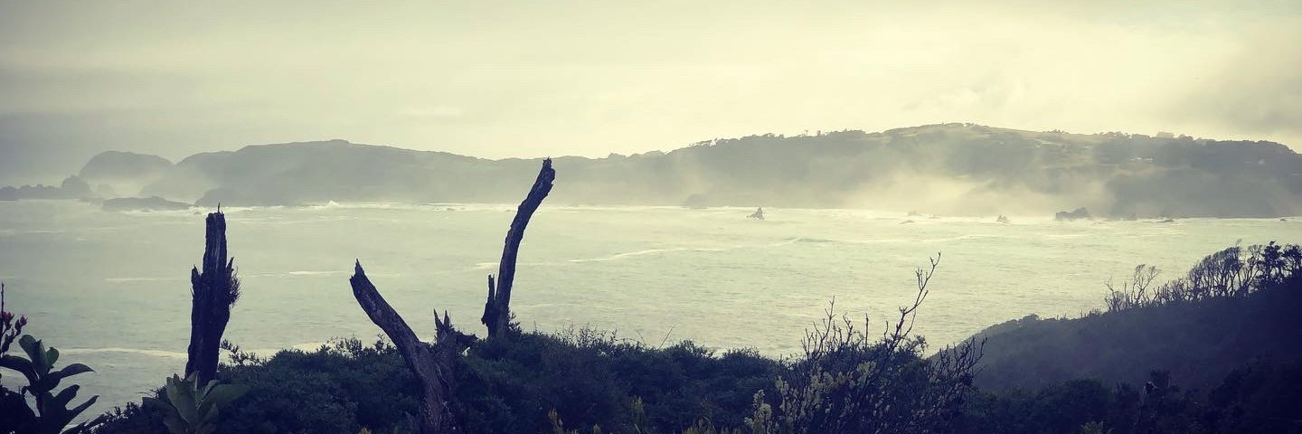 JosAndrsMurillo's profile banner image