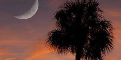 Williamrwiggins's profile banner image