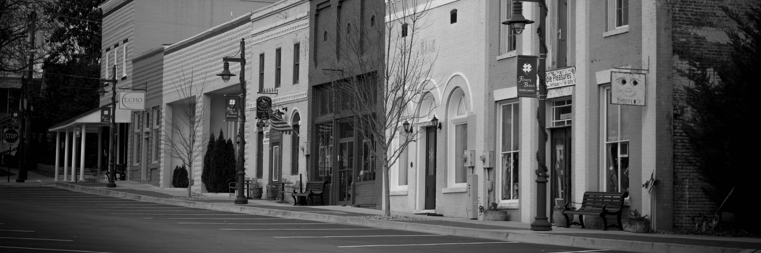 CityofFloweryBranch banner