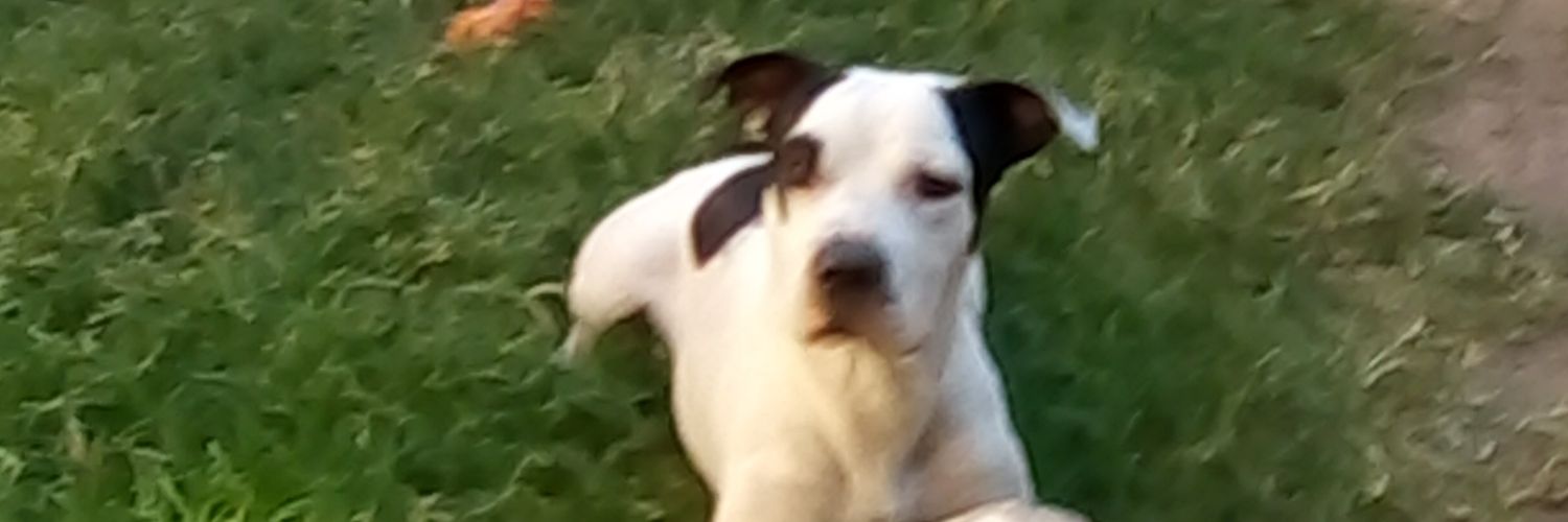BurgosPaly's profile banner image