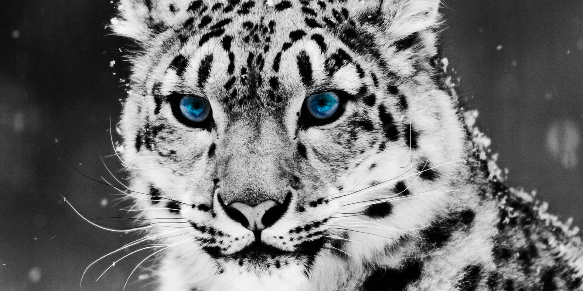 LiLBy971's profile banner image
