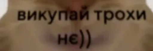 пан страшний сержант ТВО banner