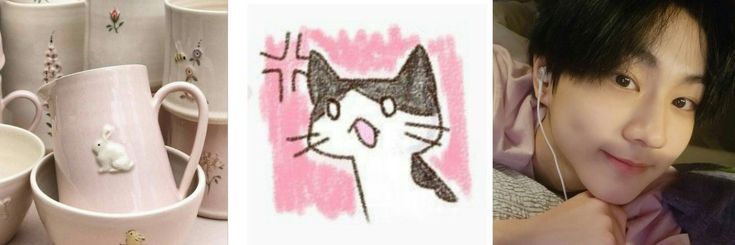 hibiascus's profile banner image