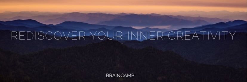 Braincamp banner