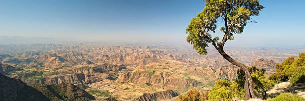 frezab's profile banner image