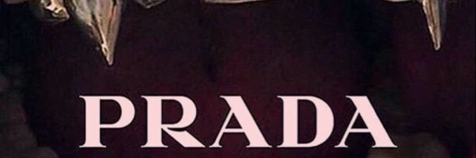 RaineeSol's profile banner image