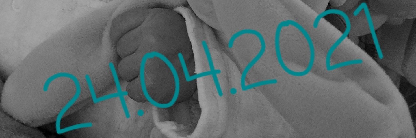 amandine_loisel's profile banner image