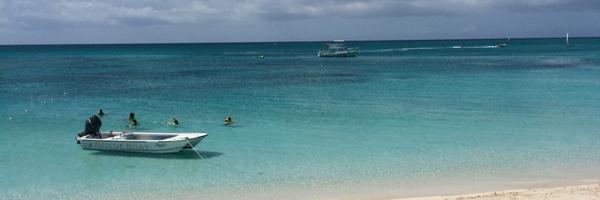 domer03 Profile Banner