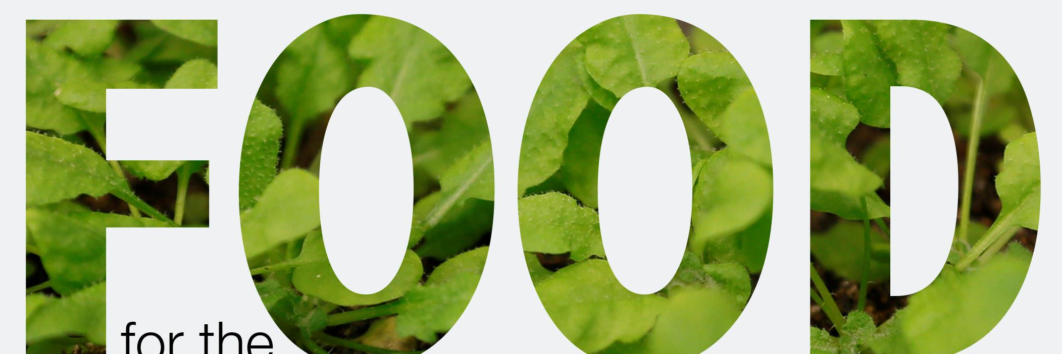foodforfuture's profile banner image