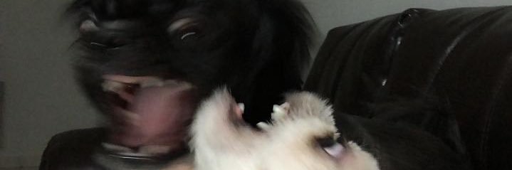 opslauraoo's profile banner image