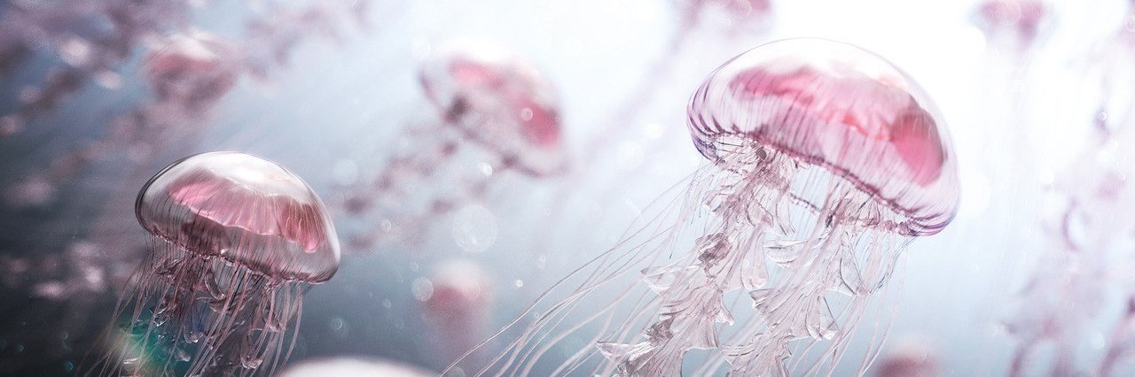 Пасти-Компасти banner