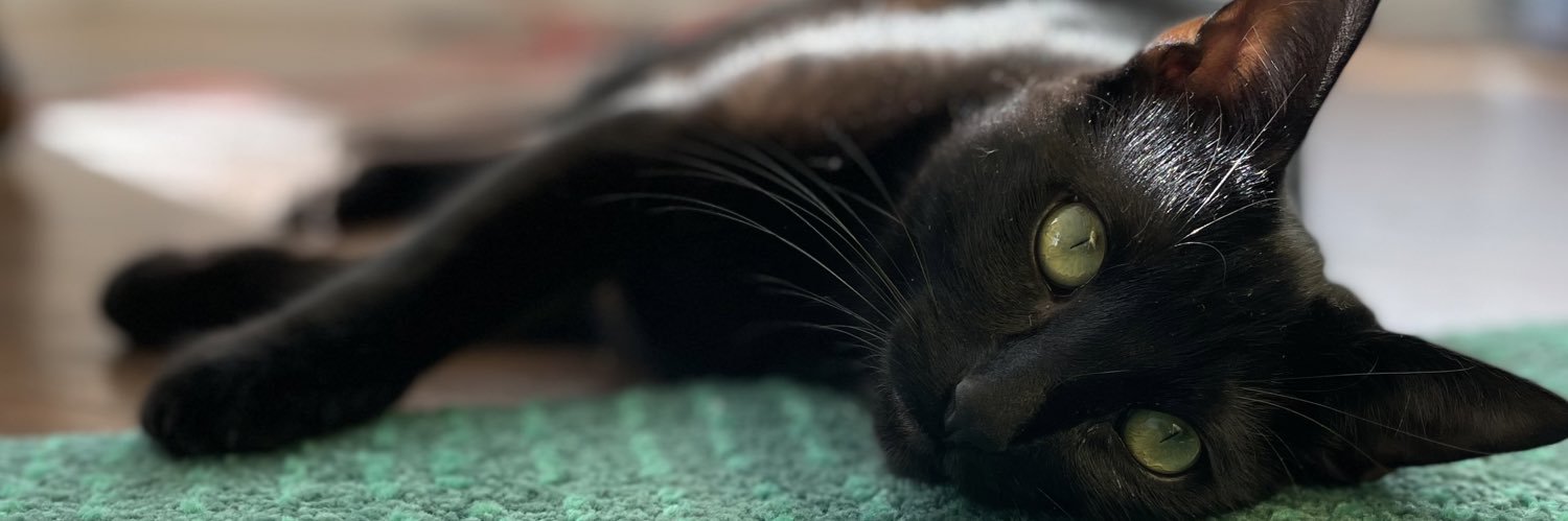 Becky Rosen-Checa banner